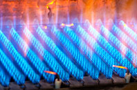 Elliston gas fired boilers